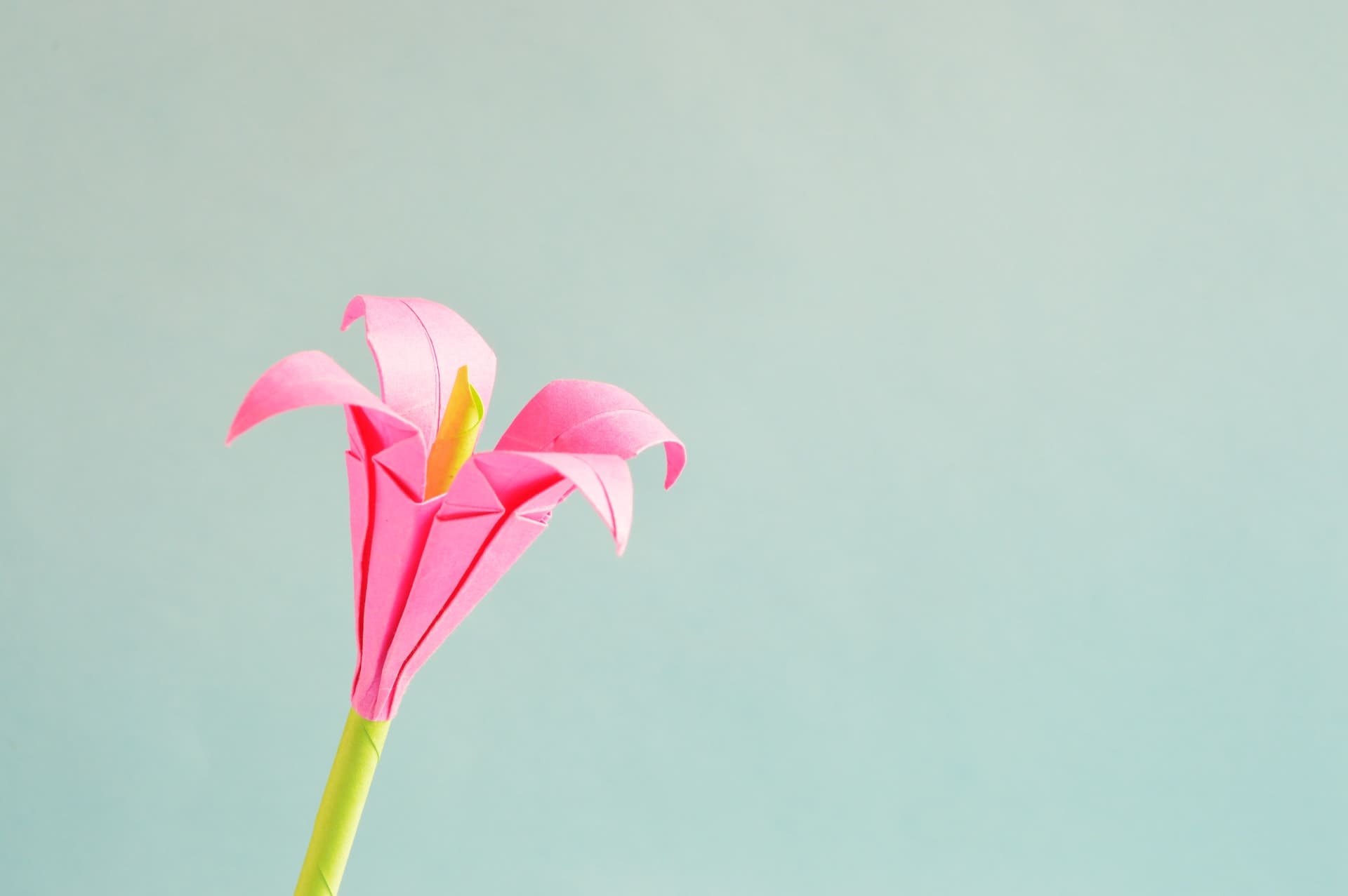 Floare cu petale roz de origami