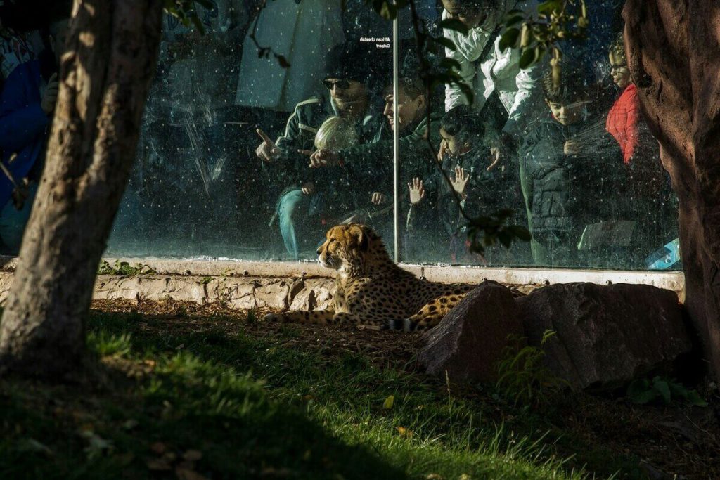 Zoo