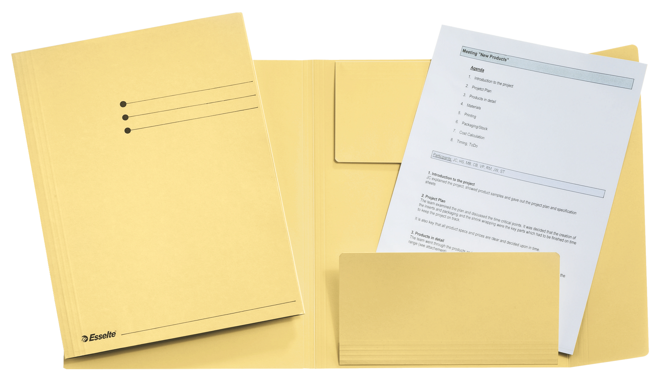 Dosar tip plic Esselte