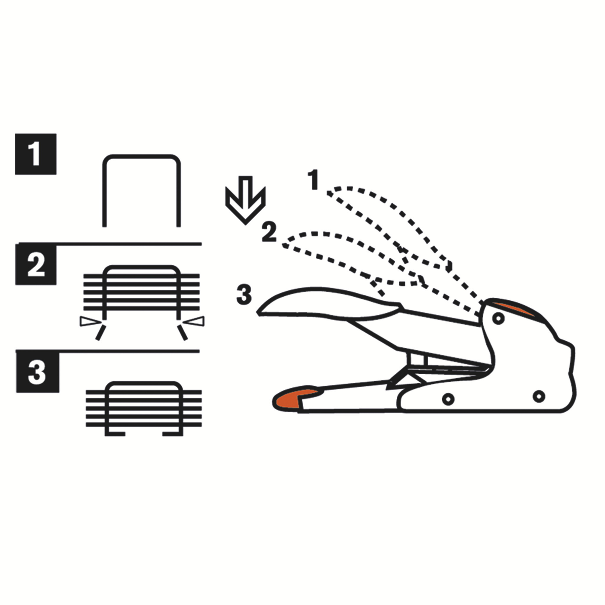 autograf