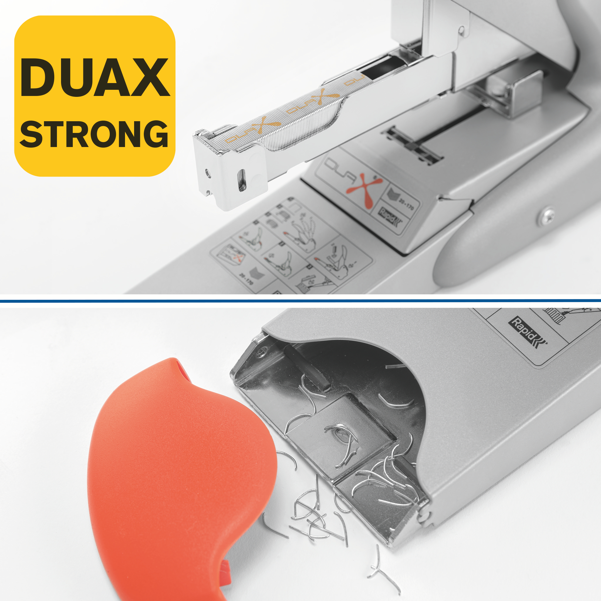 autograf