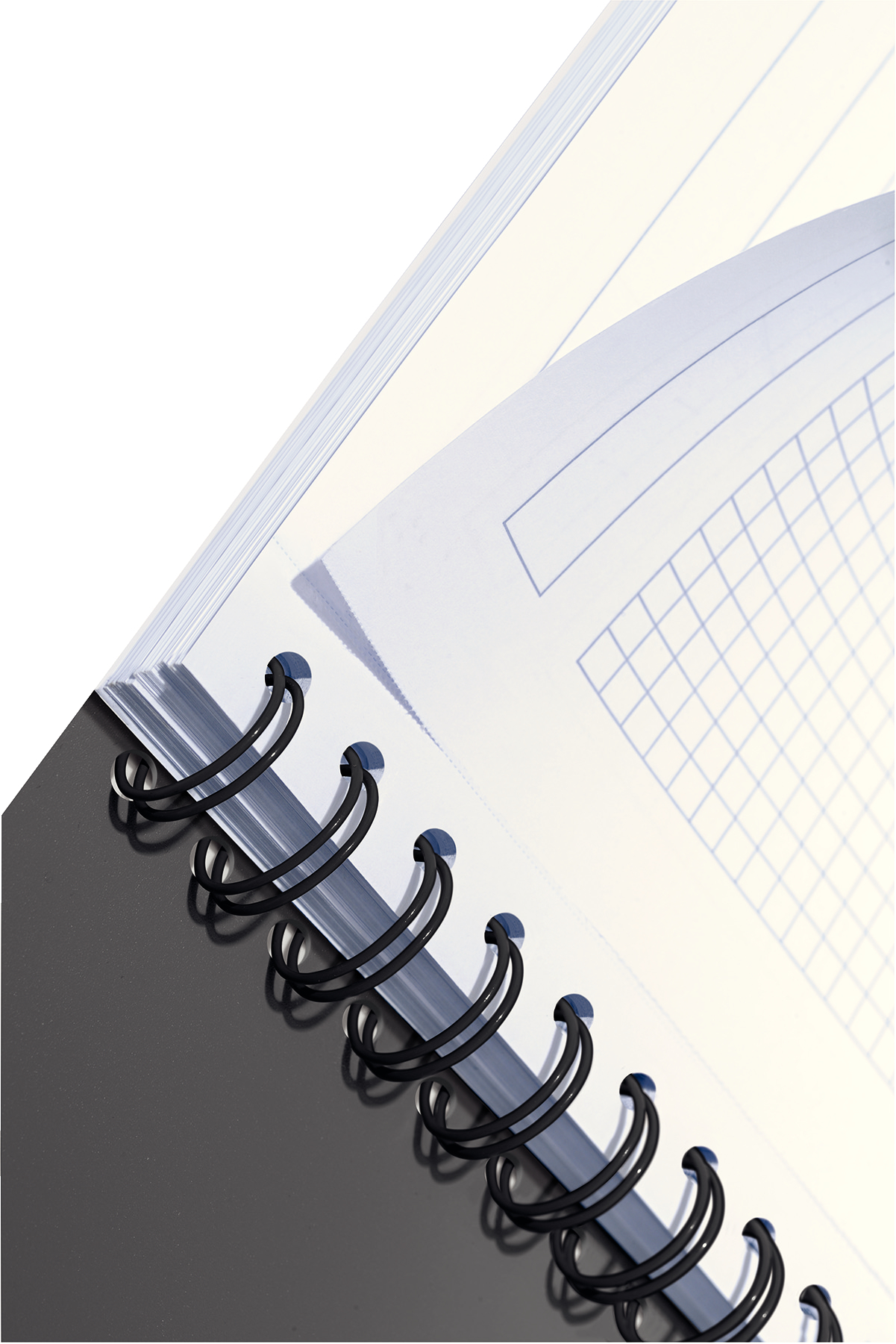 autograf