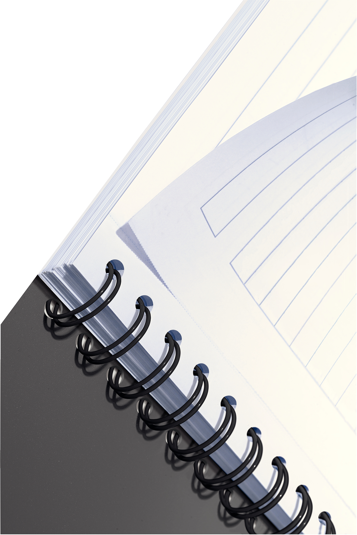 autograf