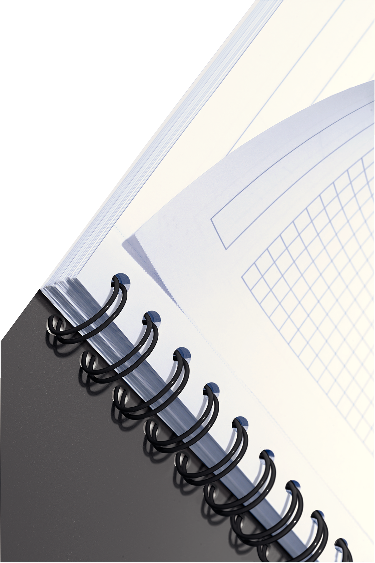autograf
