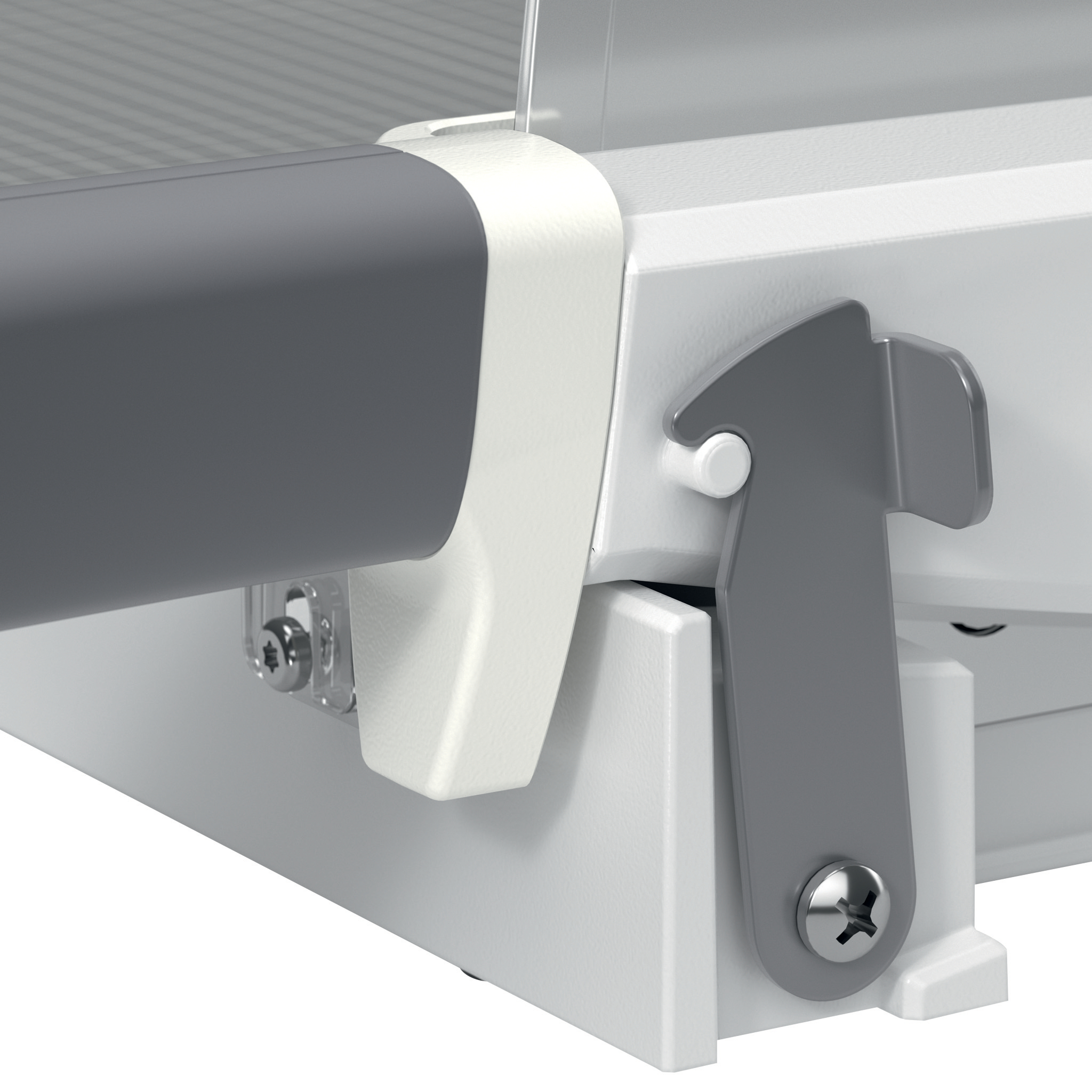 autograf