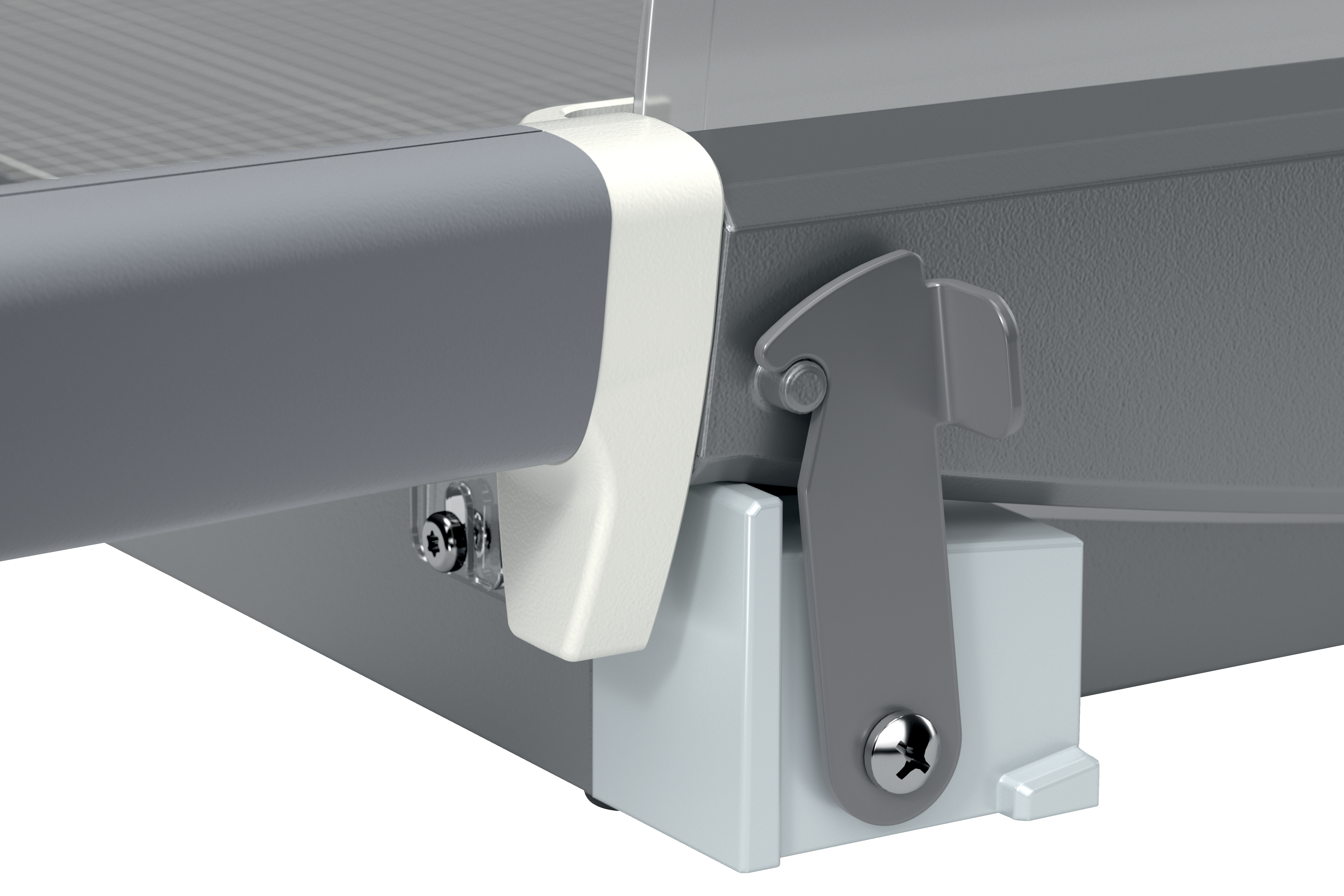 autograf