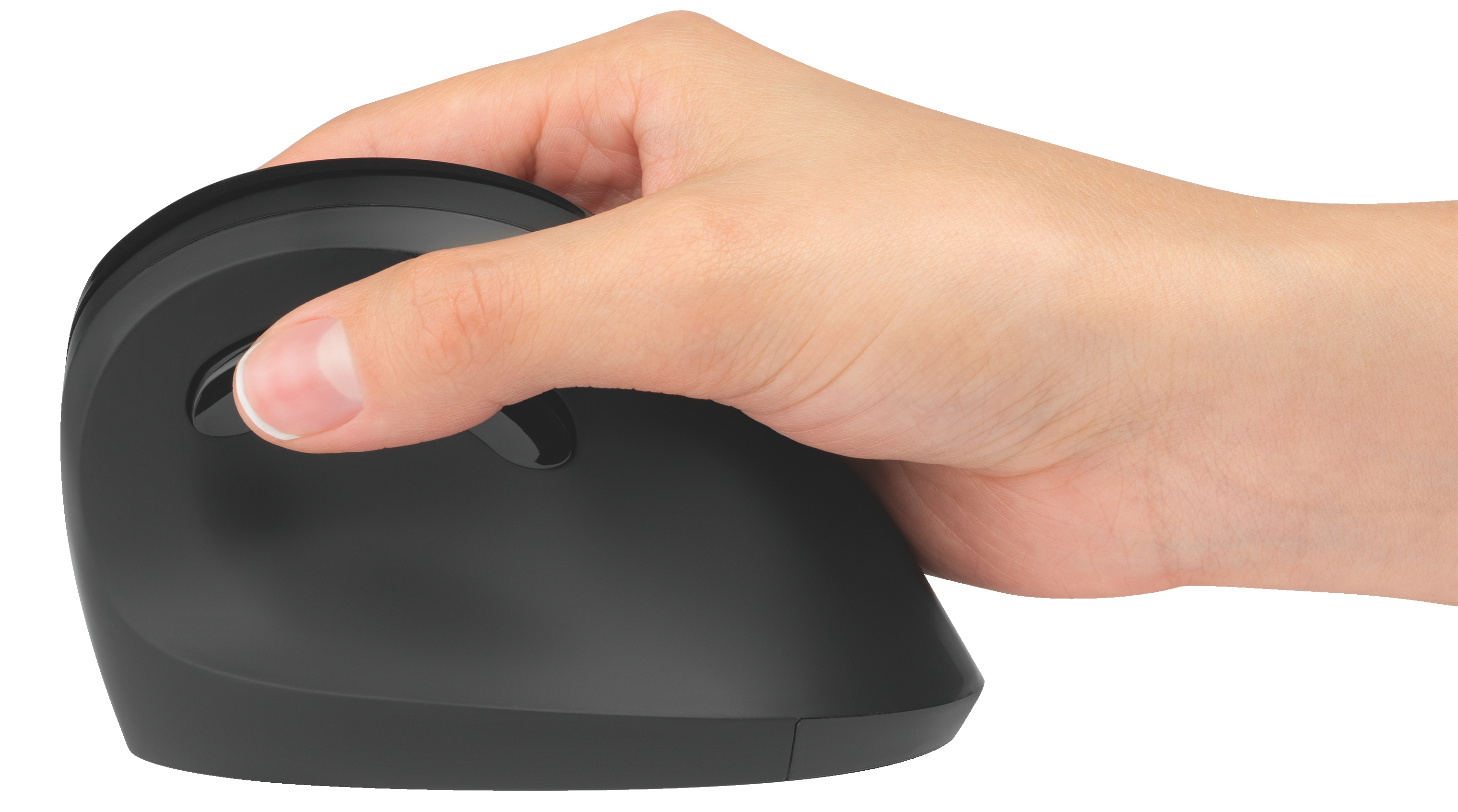 autograf