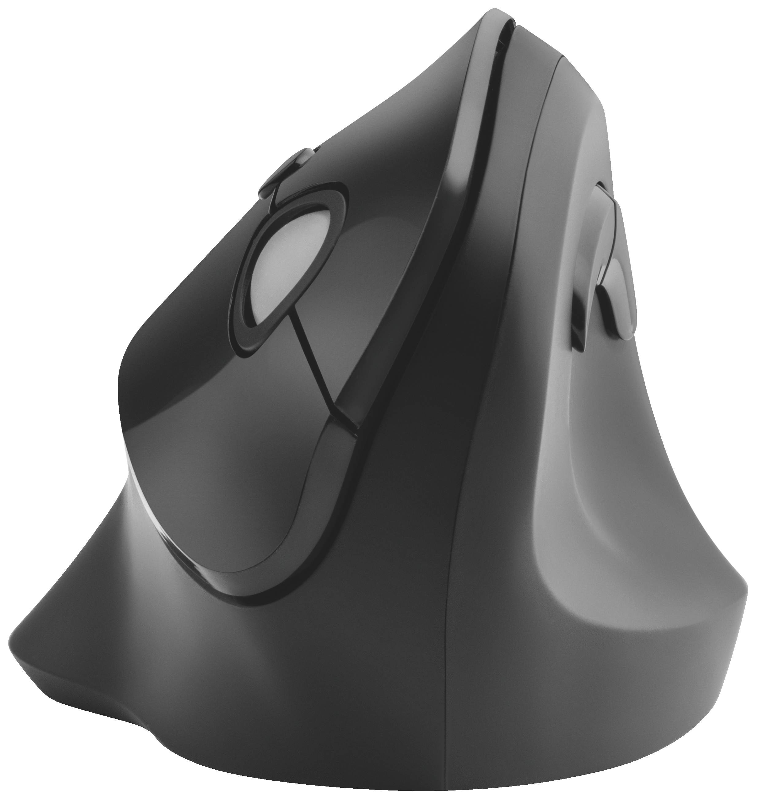 autograf