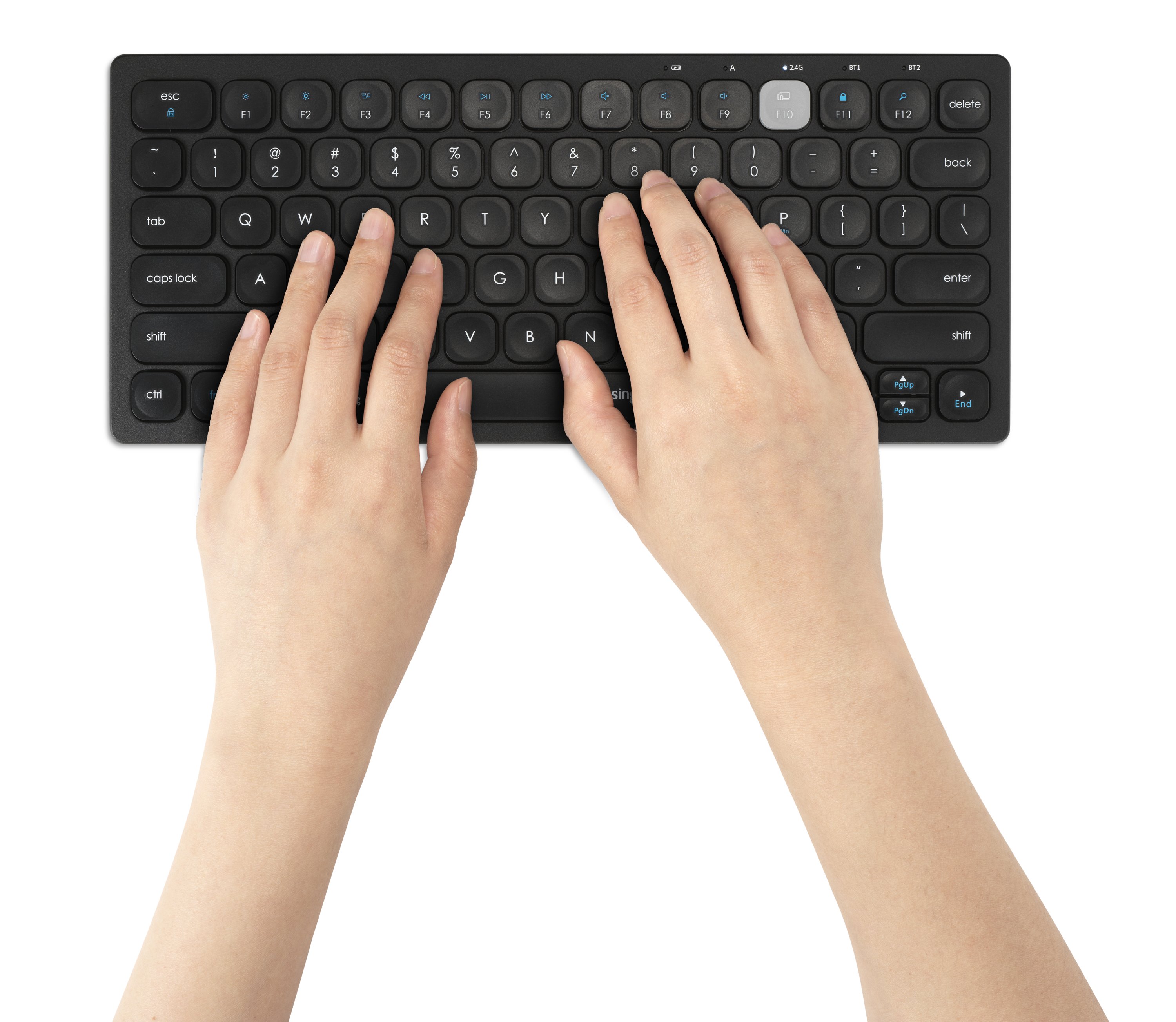 autograf