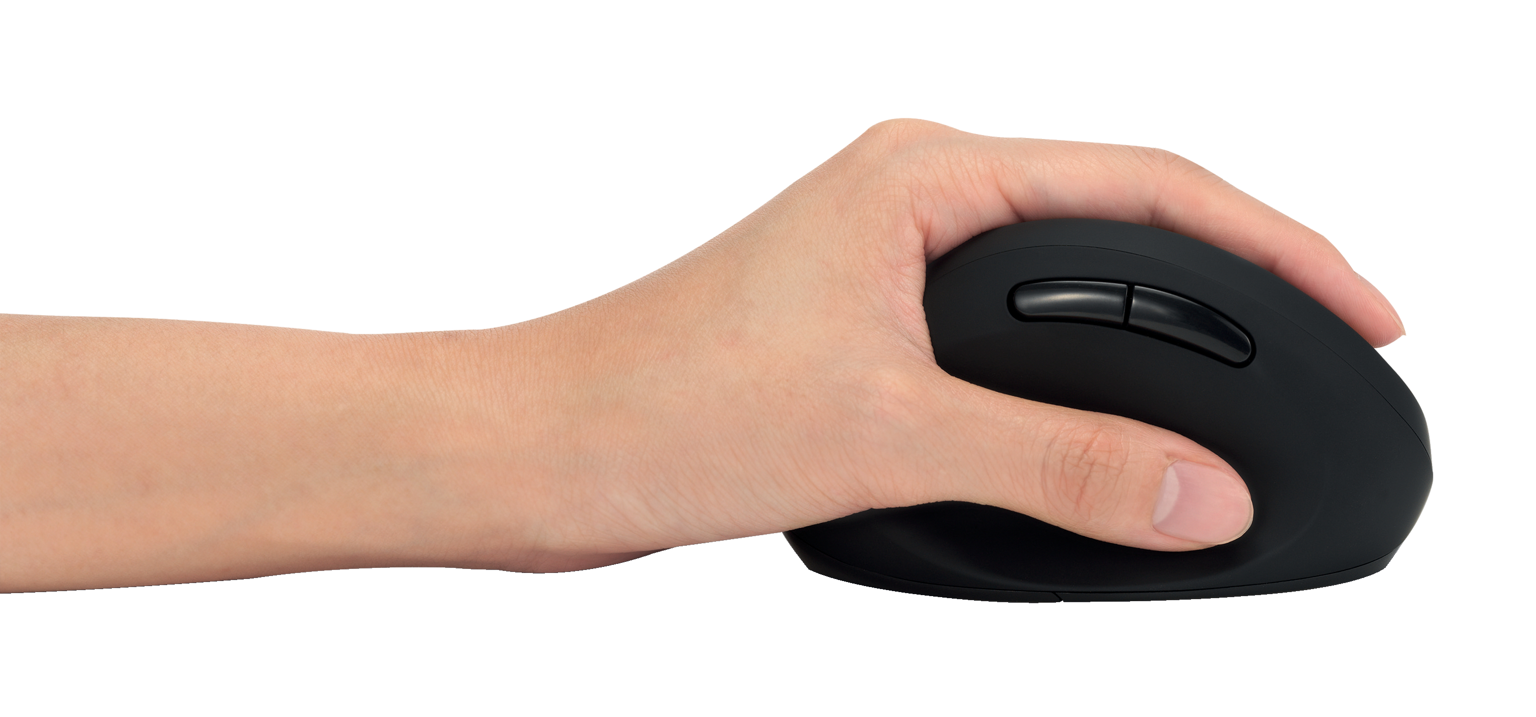 autograf